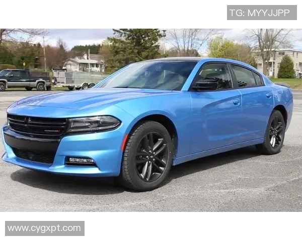 加的夫城与博尔顿精彩对决直播全程回顾与分析